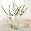 NEW 18pcs Eucalyptus Stems Artificial Eucalyptus Stems Eucalyptus Leaves Carousel 2