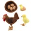Loading Image 1 of 4