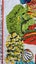 ~" Cairns Designed In Australia By Ross Cotton - Linen Vintage Tea Towel "~ Carousel 6