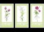 New* Set of 3 -11ct (inked fabric) Carousel 1