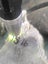 Genuine NZ Pounamu/Greenstone Rough Block Carousel 3