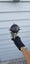 RARE 81cm 68-Spike Full-Metal Wolf Fang Club Staff Coolest Boys Gift BRAND NEW Carousel 10