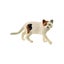 Loading Image 1 of 1
