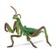 Loading Image 2 of 6