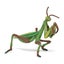 Loading Image 6 of 6