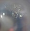 +++ SIGNED ART GLASS VASE +++ Carousel 10