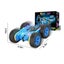 Remote Control Car RC Car Toys Carousel 3