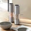 Manual Food Grinder, Food Grade Kitchen Tool, Pepper Mill for Salt - Silver Carousel 2