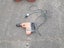 RAMSET Dyna Drill 543R3 TM PLUS Carousel 6