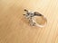 Rhino Ring Silver Colour Adjustable size Carousel 1