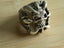 Skull in Claws Ring #1 Size 10 Carousel 1