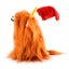 Cute Highland Cow Stuffed Christmas Animals Cow Plush Toys for Kids Carousel 3