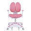 6x Ergonomic Children Kids Study Chairs Height Adjustable - Pink Carousel 5