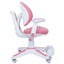 6x Ergonomic Children Kids Study Chairs Height Adjustable - Pink Carousel 6