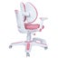 6x Ergonomic Children Kids Study Chairs Height Adjustable - Pink Carousel 7