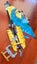 LEGO bulk lot Carousel 6