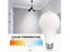 Motion Sensor Light Bulb NZ Clearance Carousel 9
