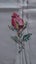 Rose Embroidered Tabelcloth Carousel 2
