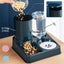 Automatic Cat Feeder Water Dispenser Set, 2 In 1 Tilted Automatic Pet Food An... Carousel 2