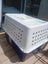 Dog crate Carousel 1