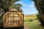 gallery view thumbnail