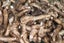 Herb Farm Wild Yam Cream 50ml | HealthPorter NZ Carousel 4