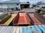 Skip Bins 9m $3200+primed+GST Carousel 11