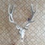 Stag Skull & Antler Carousel 1