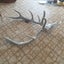 Stag Skull & Antler Carousel 2