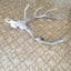 Stag Skull & Antler Carousel 3