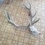 Stag Skull & Antler Carousel 4