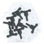 Loading Image 1 of 1