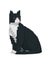 Jekca Animals - Tuxedo Cat Sitting 27cm Carousel 1