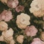 Loading Image 1 of 7