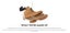 TIMBERLAND Mens 6" Premium Waterproof Boots Original Yellow Shoes - Wheat Nubuck Carousel 10