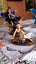 Collection of 3 x Gorgeous Garden/Flower Fairy Figurines. Carousel 6
