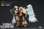 Warhammer 40K Blood Angels Sanguinary Guard w/ Encarmine Axe & Inferno Pistol Carousel 3