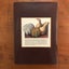 1,000 YEARS OF GARDENING IN NEW ZEALAND - *SIGNED BY AUTHOR HELEN LEACH* - Carousel 16