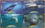 New Zealand Marine Mammals - Four Cards 1995 Carousel 1