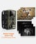 Solar Powered Trail Camera for Wildlife Watching with Solar Panel Carousel 11