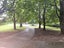 gallery view thumbnail