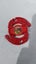 Red Dranzer F | Rare *2001 Bakuten 1st Gen Beyblade Carousel 5