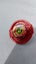Red Dranzer F | Rare *2001 Bakuten 1st Gen Beyblade Carousel 6