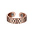 Copper Magnetic Ring Health Carousel 5