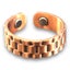Copper Magnetic Ring Health Carousel 2