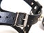 PTN NEW Dog Harness Sale Sale Sale Carousel 8