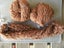 Knitting yarn - brown skeins 205gm Ref Jac30 Carousel 1