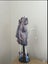 Monster High Gloom and Bloom Catrine DeMew Carousel 3