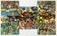 1994 Shell Ranfurly Shield Souvenir Presentation Pack + set of 8 used cards Carousel 3