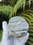 Very unique NZ banded Agate #1 Carousel 5